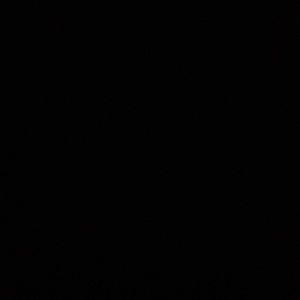 Meet your Posher, Antione